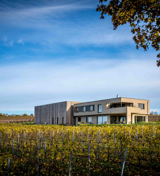 Weingut | Wein und Sektgut Hirschmüller | Lauffen | © NZT