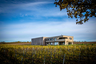 Weingut | Wein und Sektgut Hirschmüller | Lauffen | © NZT