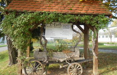 Weinbau Frank Feeß | © Land der 1000 Hügel - Kraichgau-Stromberg