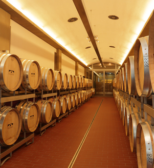 Führung der durch den Weinkeller der Weingärtner Stromberg-Zabergäu | Brackenheim | HeilbronnerLand | © Weingärtner Stromberg-Zabergäu eG