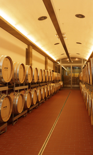 Führung der durch den Weinkeller der Weingärtner Stromberg-Zabergäu | Brackenheim | HeilbronnerLand | © Weingärtner Stromberg-Zabergäu eG