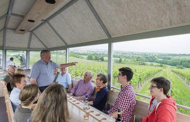 Planwagenfahrt durch die Weinberge | Weingärtner Stromberg-Zabergäu | Brackenheim | HeilbronnerLand | © Weingärtner Stromberg-Zabergäu eG