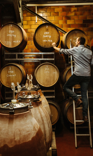 Winzer Becker auf der Leiter vor seinen beschrifteten hölzernen Weinfässern im Weinkeller. | © Weingut Becker in Malsch