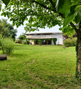 Weingut am Thalsbach GmbH | © Weingut am Thalsbach GmbH