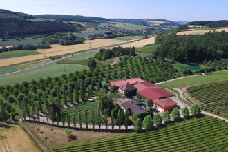 Weingut Benz | © Weingut Benz