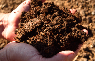 Weingut Burg Ravensburg | © Heitlinger Genusswelten