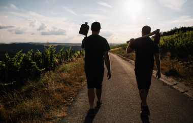 Weingut Ehrlenbach | © Weingut Ehrlenbach