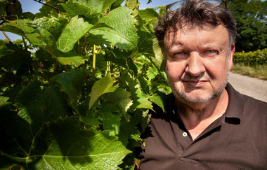 Weingut Honold | © WEINGUT LUDWIG HONOLD