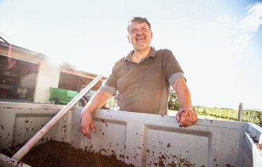 Weingut Honold