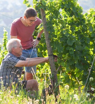 Weingut Johann August Sack | © Weingut Sack