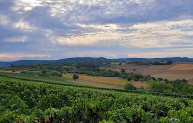 Weingut Klenert Kraichtal-Münzesheim