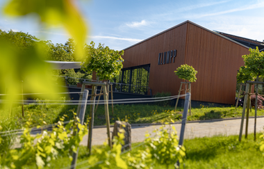Weingut Klumpp | © BTMV Bruchsal