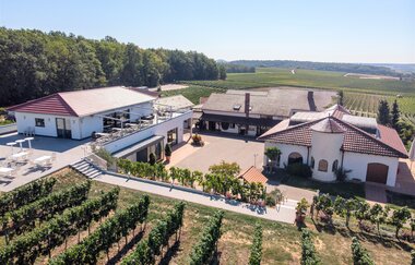 Panorama Weingut Kurz-Wagner | HeilbronnerLand | © Weingut Kurz-Wagner GbR