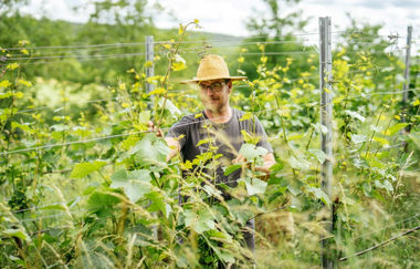 Winzer im Weinberg | © Maximilian Pfeiffer