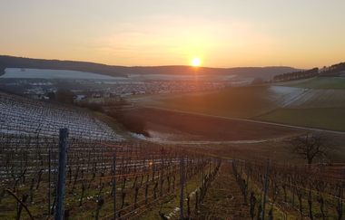 Weingut Oesterlein Weingut | © Liebliches Taubertal