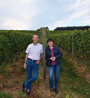 Weingut Schlör | © Weingut Schlör