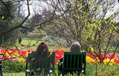 Weinheims Grüne Perlen