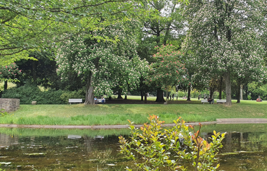 Weinheims Grüne Perlen | © Ursel Rotter