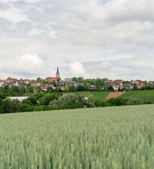 DSGVO NT Neckarwestheim Blick auf Neckarwestheim WEB | © artofpoggel.de Kristof Pogge