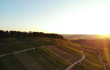 Weinstube in der Schmiede