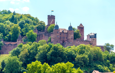 Blick auf die Burg Wertheim - im Sommer - bei strahlendem Sonnenschein und wunderbar grünem Wald im Hintergrund und großen Laubbäumen im Vordergrund | © Tourismusverband "Liebliches Taubertal" e.V.