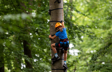 Ein Kind klettert mit Kletterausrüstung einen Baum hoch. | © ps:ag