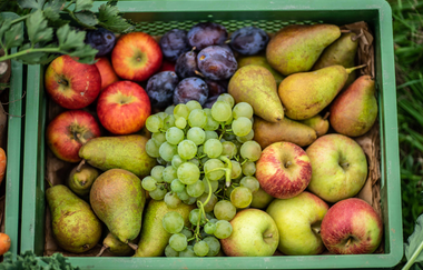 Obstkiste | Wino - Biohof Winkler Brackenheim | © Neckar-Zaber-Tourismus e.V.
