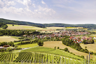 Winzergemeinschaft Franken eG | © WinzergemeinschaftFranken