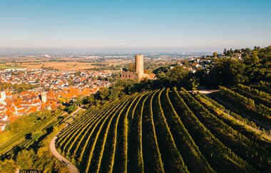 Winzergenossenschaft eG Schriesheim | © gesenden von Herr Manuel Bretschi zur Verwednung