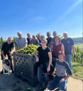 Winzerhof Fries | © Winzerhof Fries