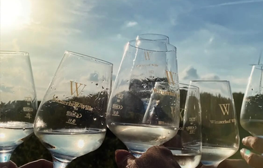 Winzerhof Wille | © Winzerhof Wille
