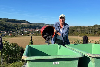 Wölpper Weine | © Wölpper Weine