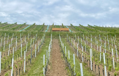 XXL Bank Markelsheim | © Unbekannt