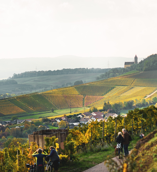 Am Württembergischen Weinwanderweg im Zabergäu mit Blick auf Burg Neipperg | Brackenheim-Neipperg | HeilbronnerLand | © Touristikgemeinschaft HeilbronnerLand