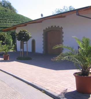 Besenwirtschaft Weingut Echle Eingang | Brackenheim-Neipperg | Kelter und Weinberge | © Neckar-Zaber-Tourismus e.V.