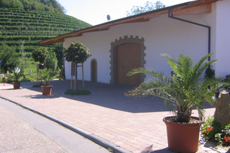 Besenwirtschaft Weingut Echle Eingang | Brackenheim-Neipperg | Kelter und Weinberge | © Neckar-Zaber-Tourismus e.V.