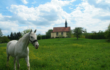 3-Bäche Rundtour | © Landratsamt Rhein-Neckar-Kreis