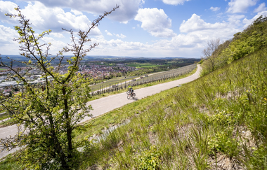 3-tägige Gravelbike-Tour im Land der 1000 Hügel – Etappe 1: Mühlacker nach Besigheim | © Land der 1000 Hügel - Kraichgau-Stromberg