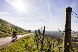 3-tägige Gravelbike-Tour im Land der 1000 Hügel – Etappe 2: Von Besigheim nach Sternenfels | © Land der 1000 Hügel - Kraichgau-Stromberg