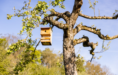 3-tägige Gravelbike-Tour im Land der 1000 Hügel – Etappe 2: Von Besigheim nach Sternenfels | © lifecyclemag.de