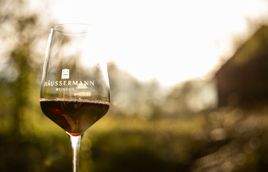 3-tägige Gravelbike-Tour im Land der 1000 Hügel – Etappe 2: Von Besigheim nach Sternenfels | © Land der 1000 Hügel - Kraichgau-Stromberg