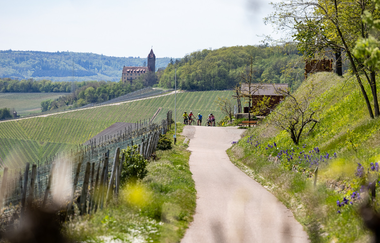 3-tägige Gravelbike-Tour im Land der 1000 Hügel – Etappe 3: Von Sternenfels nach Heilbronn | © Land der 1000 Hügel - Kraichgau-Stromberg
