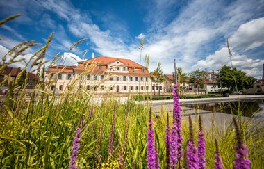 3B-Land: 3B-Land-Tour | © Stadt Bönnigheim