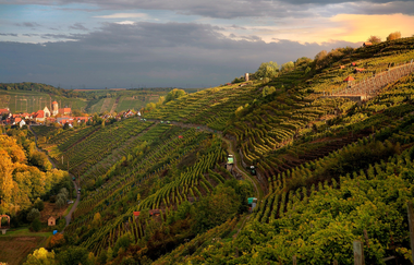 3B-Land: Felsengarten-Tour | © Felsengartenkellerei Besigheim eG