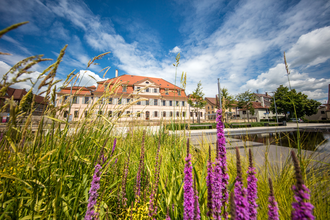 3B-Land: Hörnle-Tour | © Stadt Bönnigheim