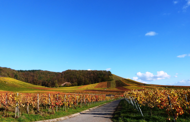 3B-Land: Mettertal-Tour