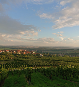 3B-Land: Stromberg-Tour | © Weingut Weiberle