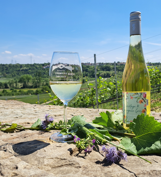 Naturspaziergang mit Verkostung | © Stadt Bönnigheim