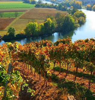 3B-Land: Weinterrassen-Tour | © 3B-Tourismus-Team