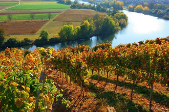 3B-Land: Weinterrassen-Tour | © 3B-Tourismus-Team